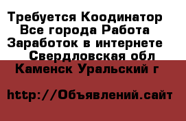 Требуется Коодинатор - Все города Работа » Заработок в интернете   . Свердловская обл.,Каменск-Уральский г.